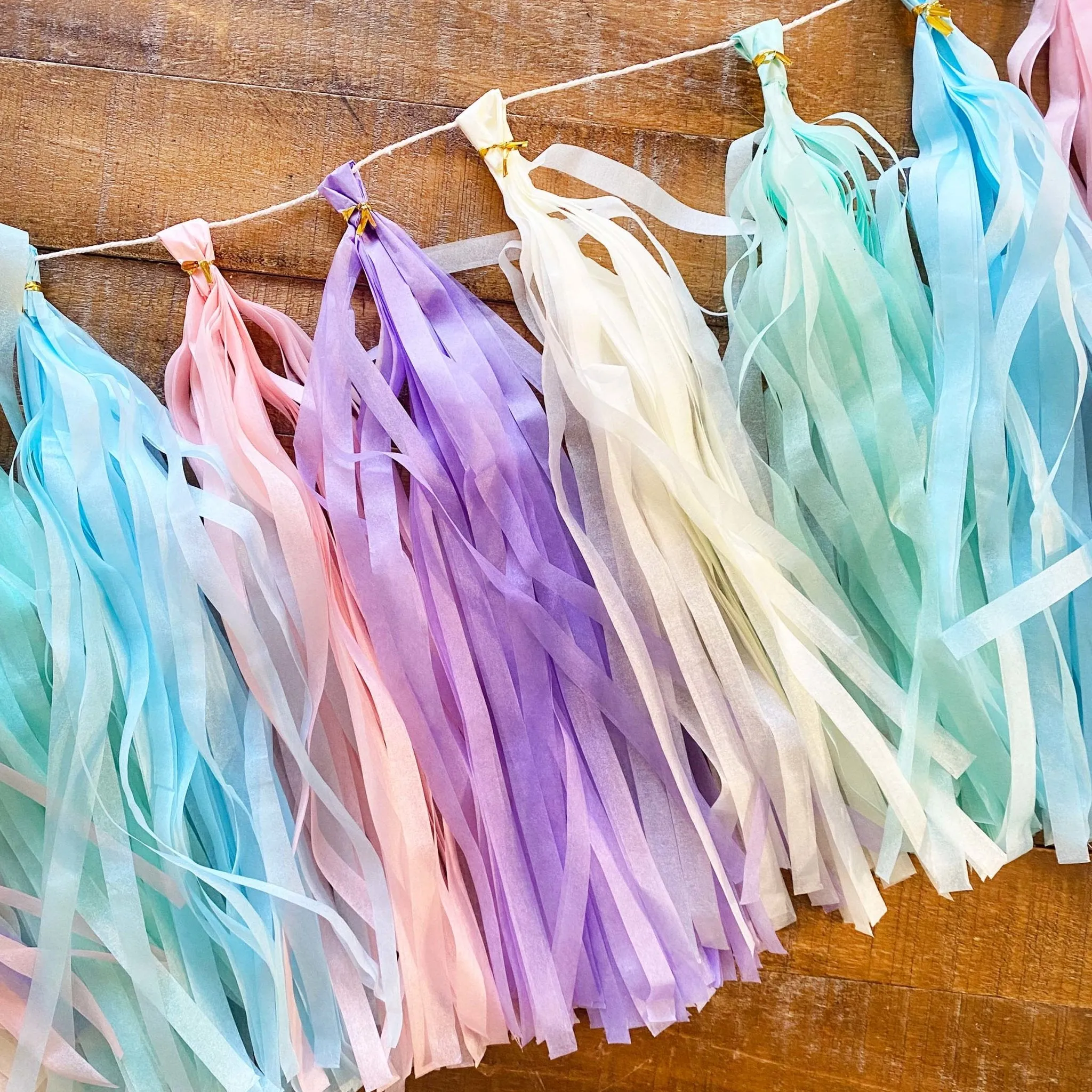 DIY Paper Tassel Kit - Tassel DIY Garland Kit