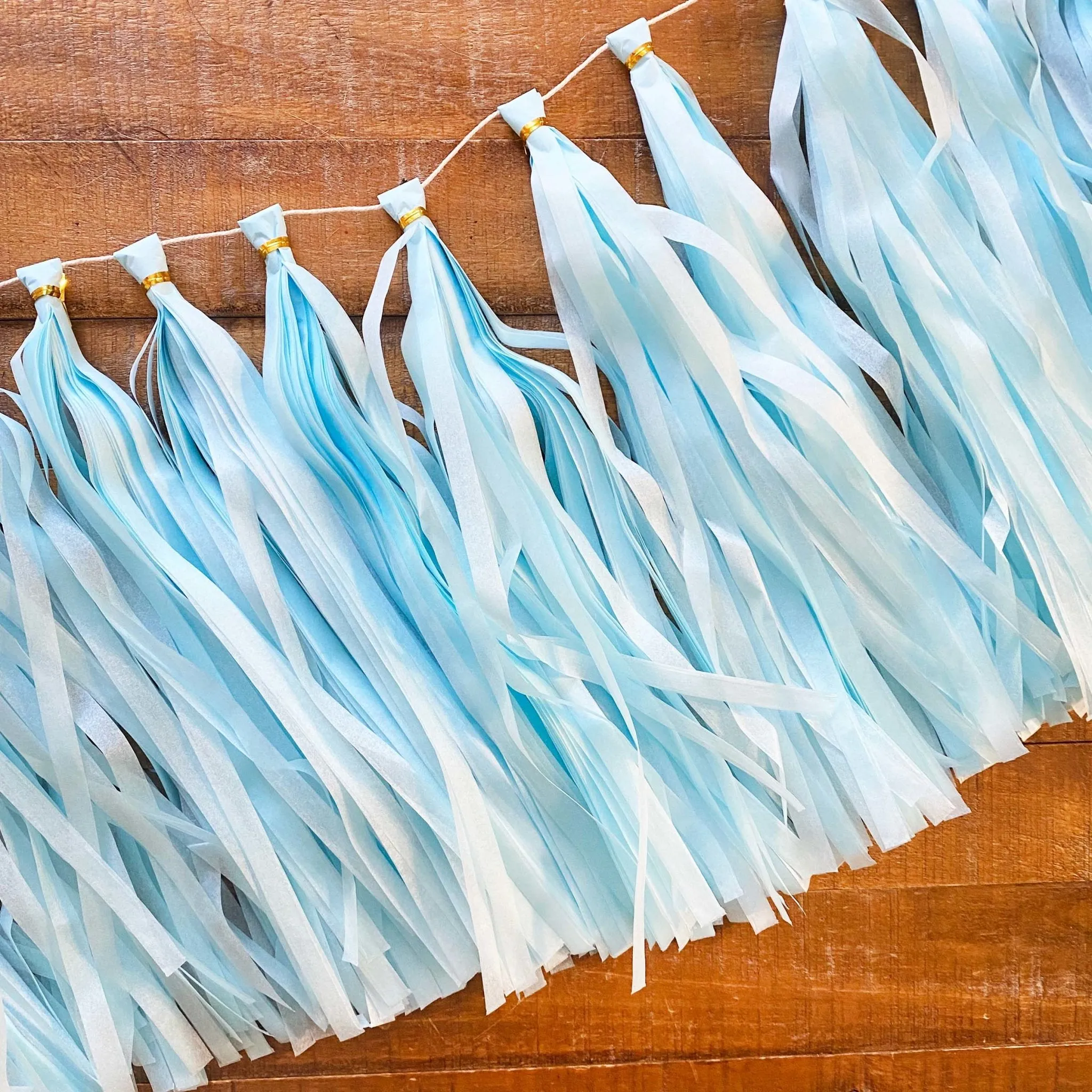 DIY Paper Tassel Kit - Tassel DIY Garland Kit