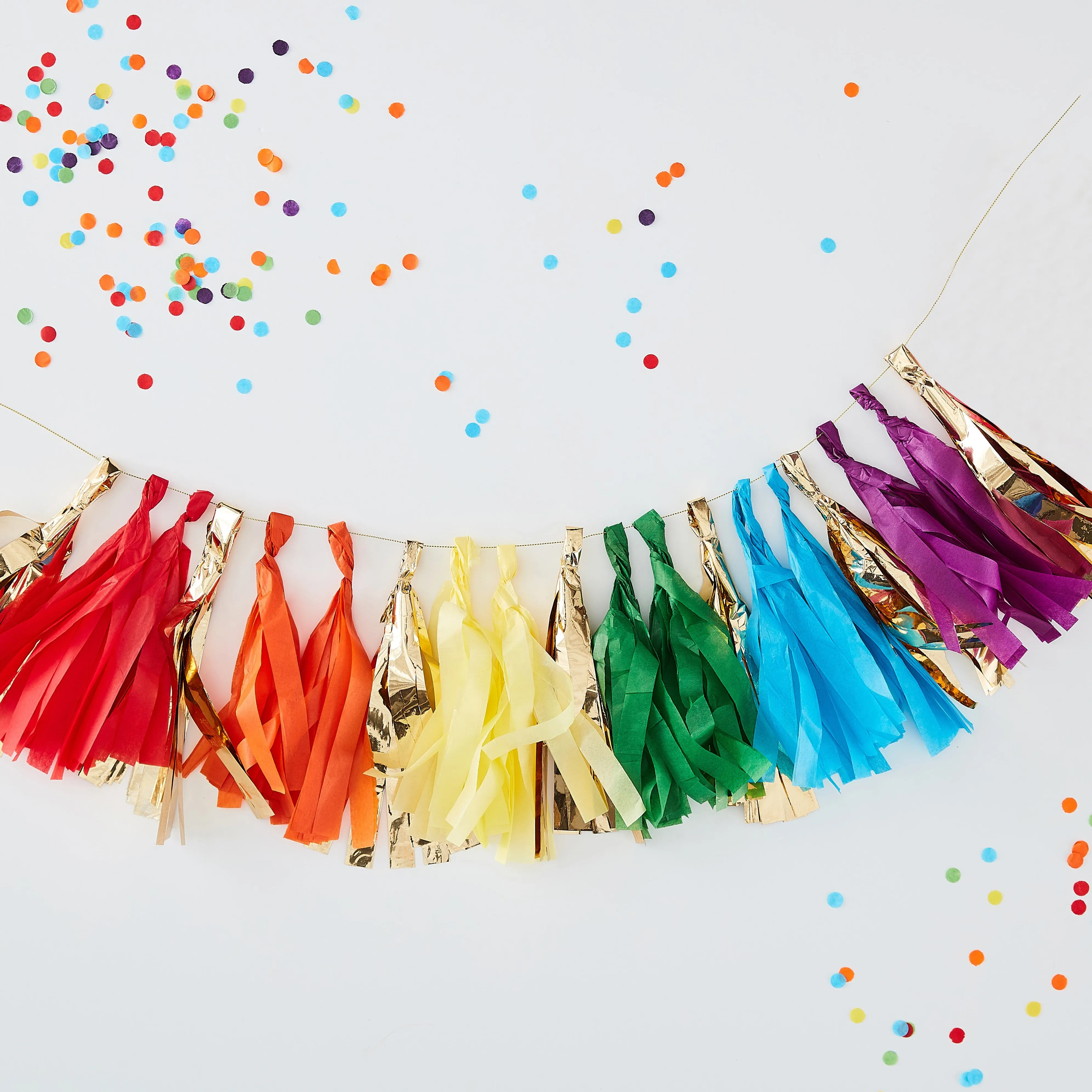 LGBTQ  Rainbow & Gold Foil Tassel Garland