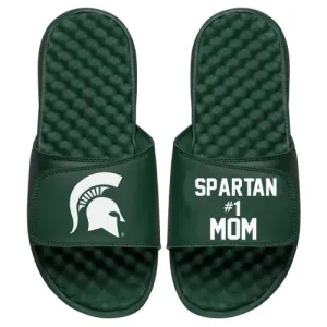 MSU Mom Slides